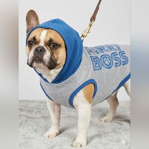 Vibrant Life Gray/Blue "Furry Boss" Dog Pet Hoodie - Size Large